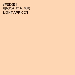#FED6B4 - Light Apricot Color Image